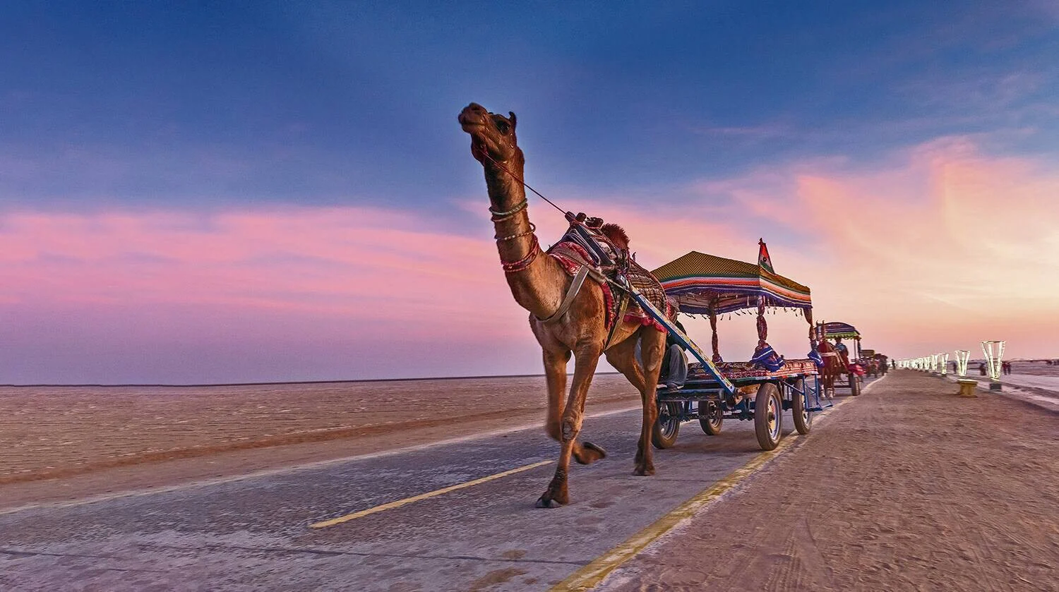 Kutch desert landscape