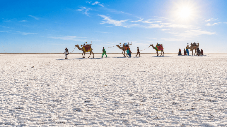 Camel cart at White Rann